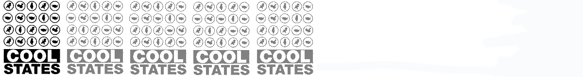 Wellcome to Cool States!